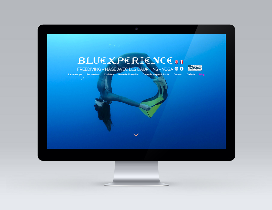 Webdesign-site-Bluexperience-voyages-croisieres-freediving-apnee-plongee-dauphins